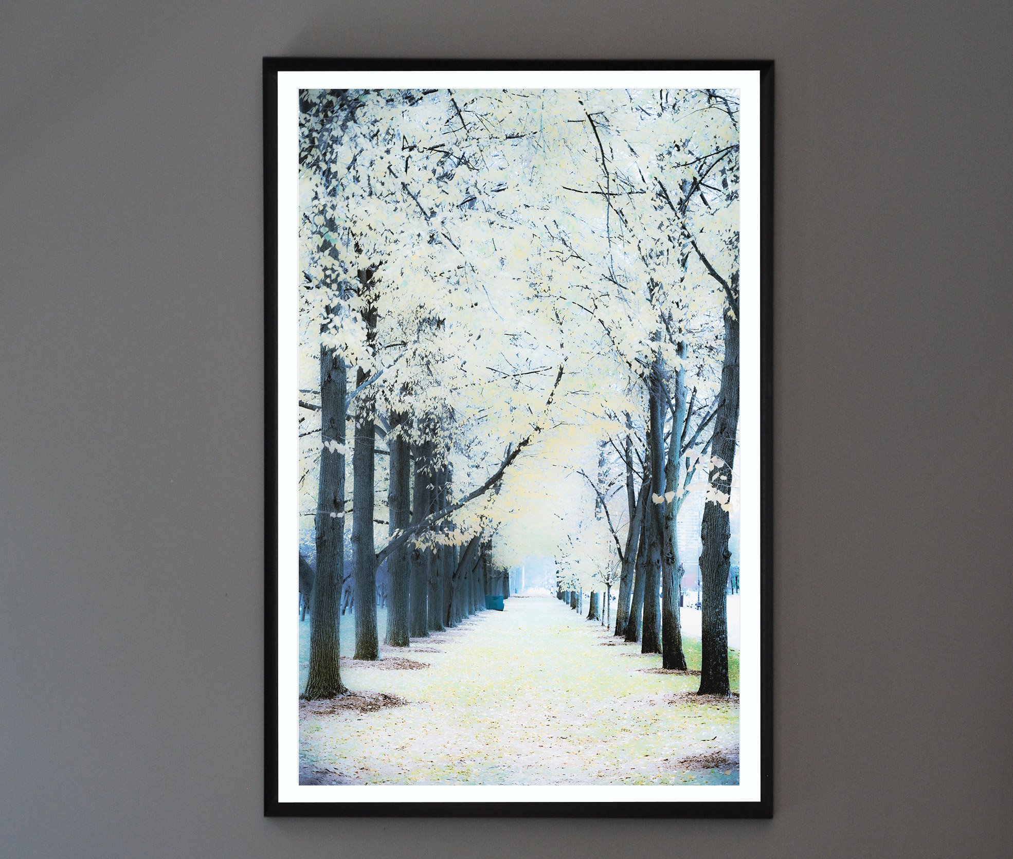 Autumn Boughs_Dawn_Blk Frame.jpg