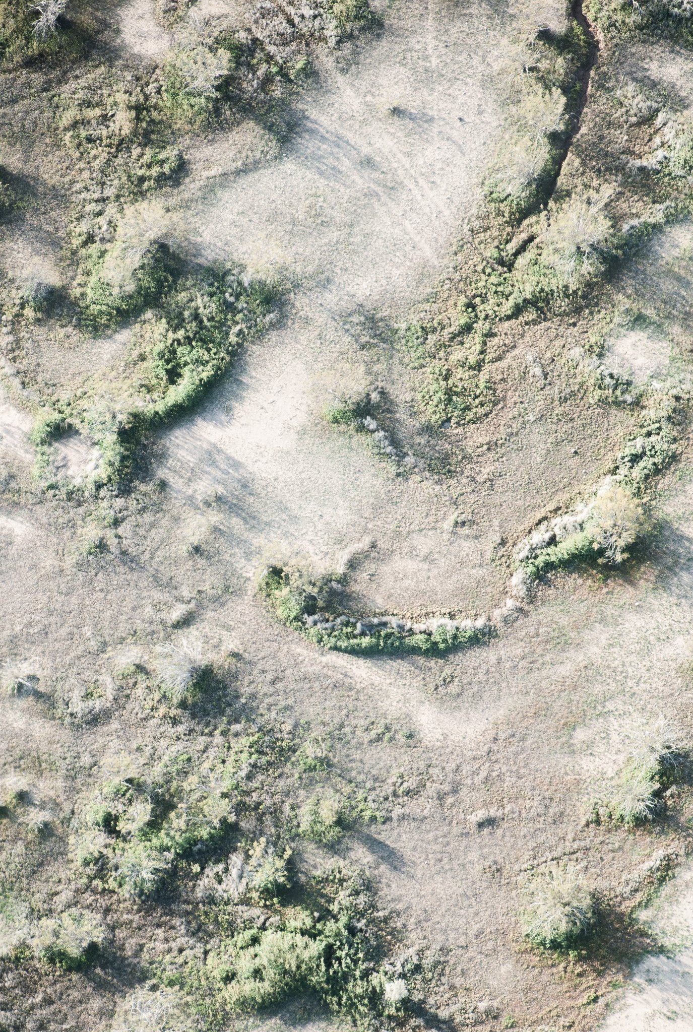 Topography Sand and Scrub.jpg