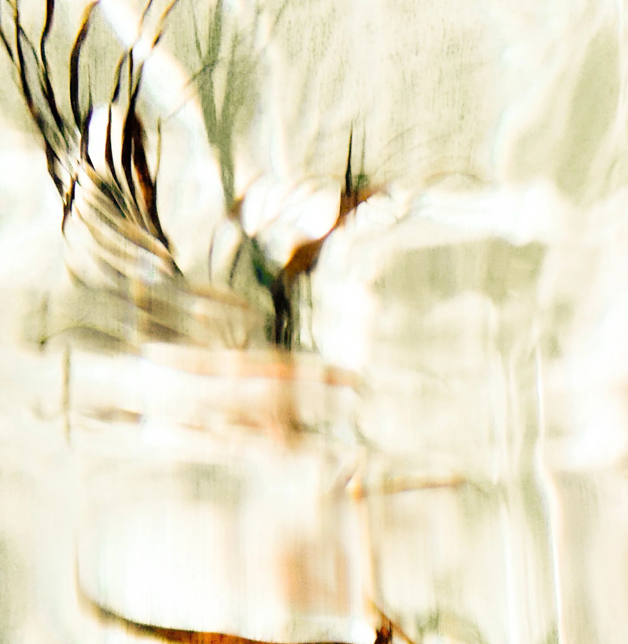 ELEGANT COPPER FILAMENTS ABSTRACT