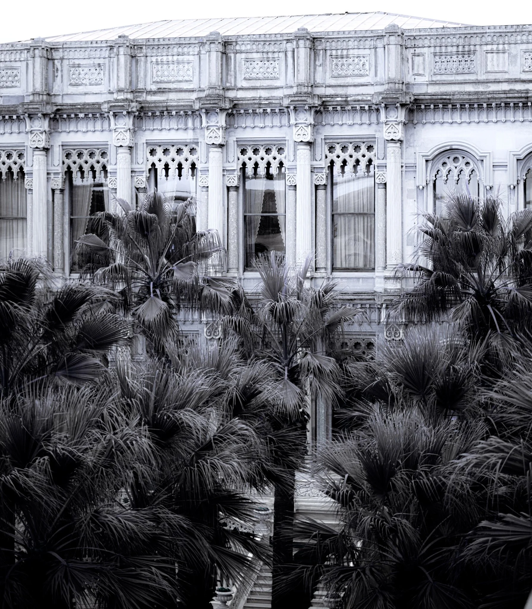 Palm Palace, Istanbul