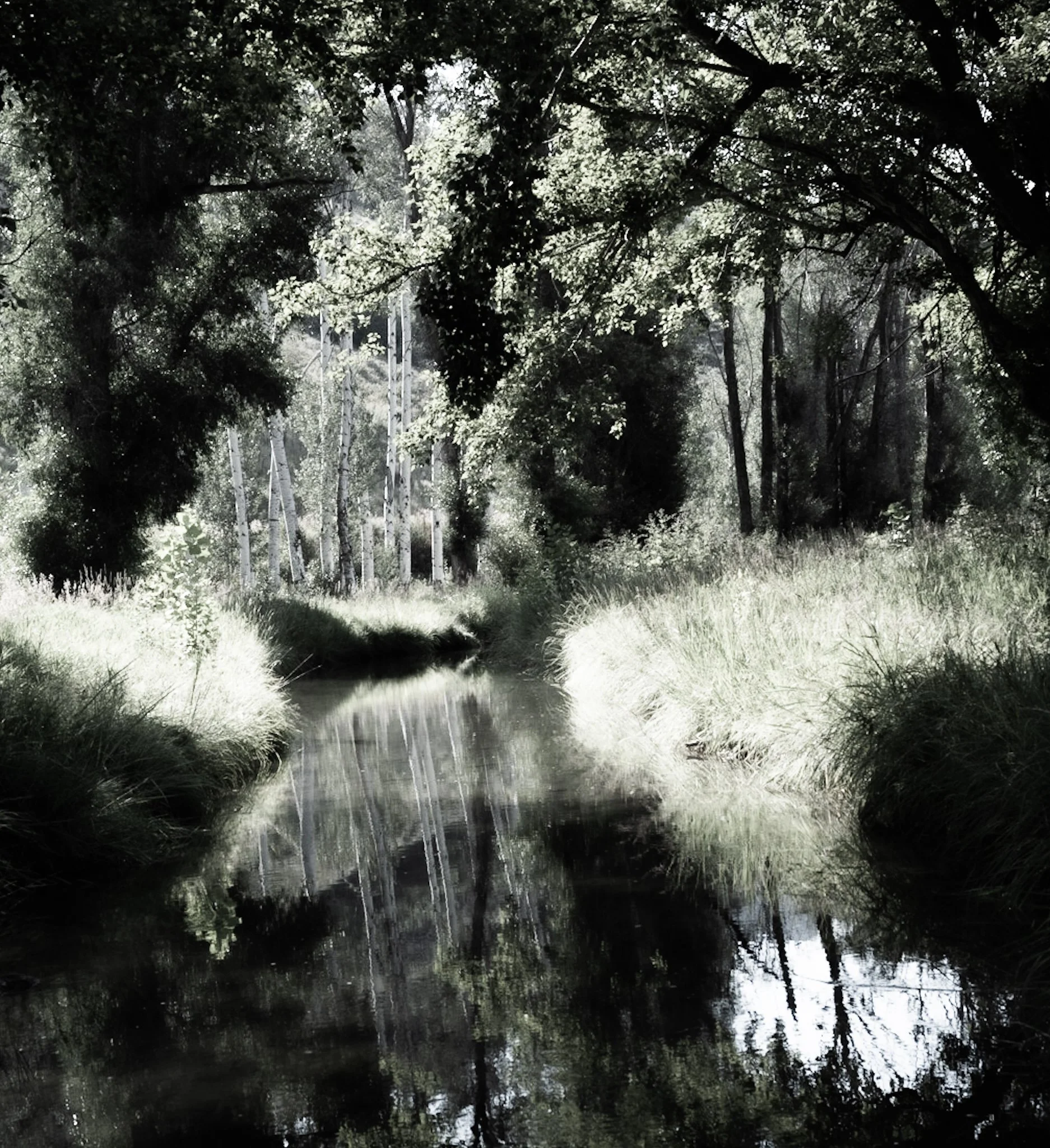 Aspen Reflections II-1.jpg
