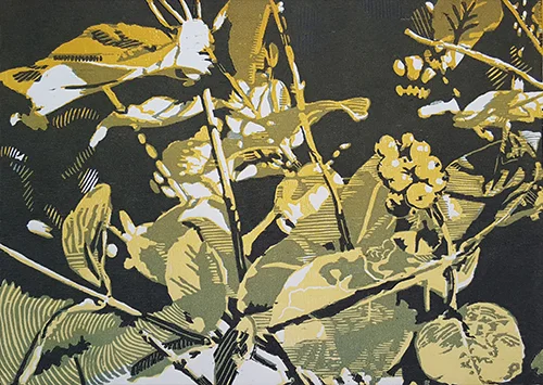 Baneberries Woodcut 10" x 14" 2015