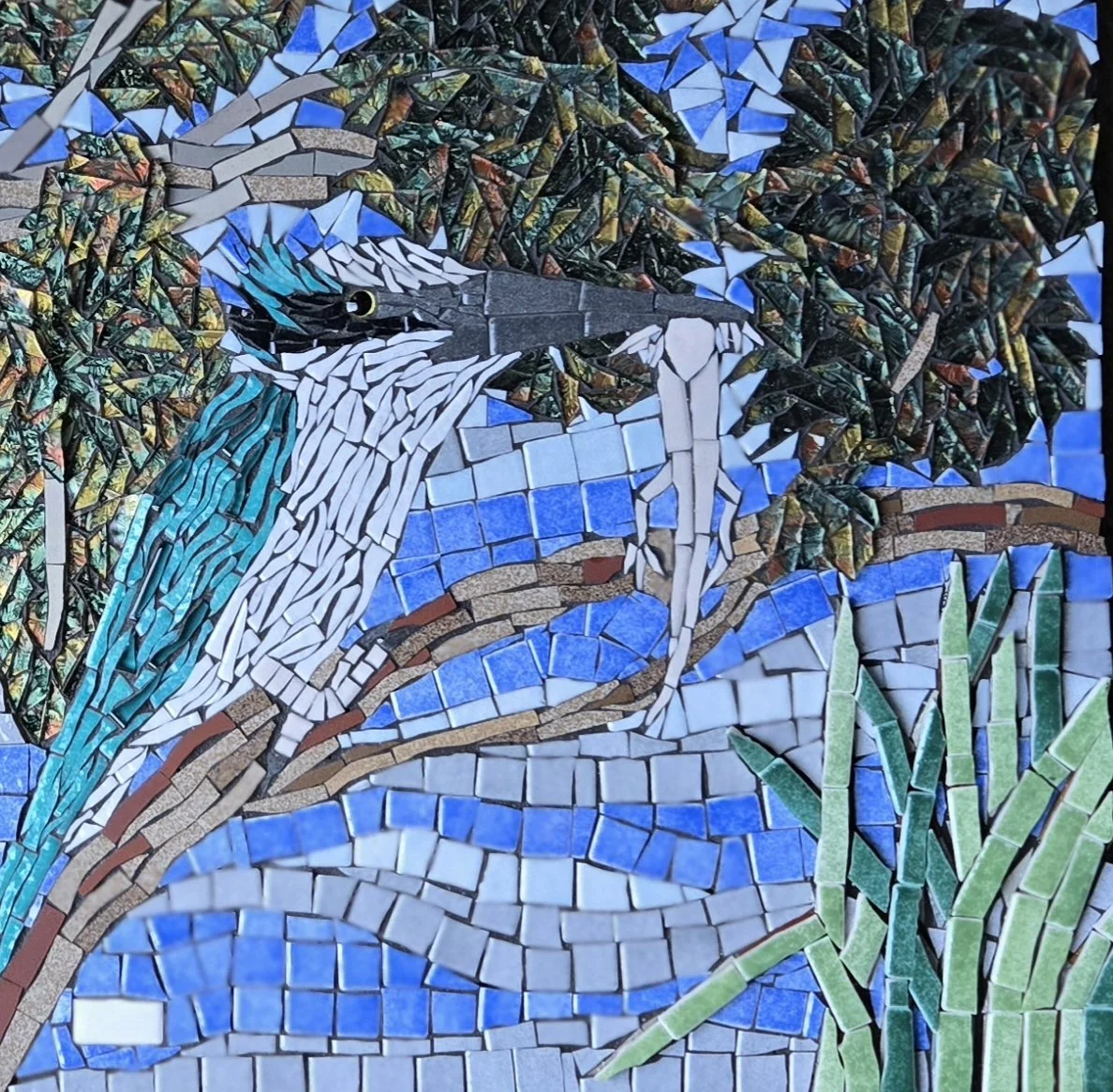 Kingfisher on the Hunt
