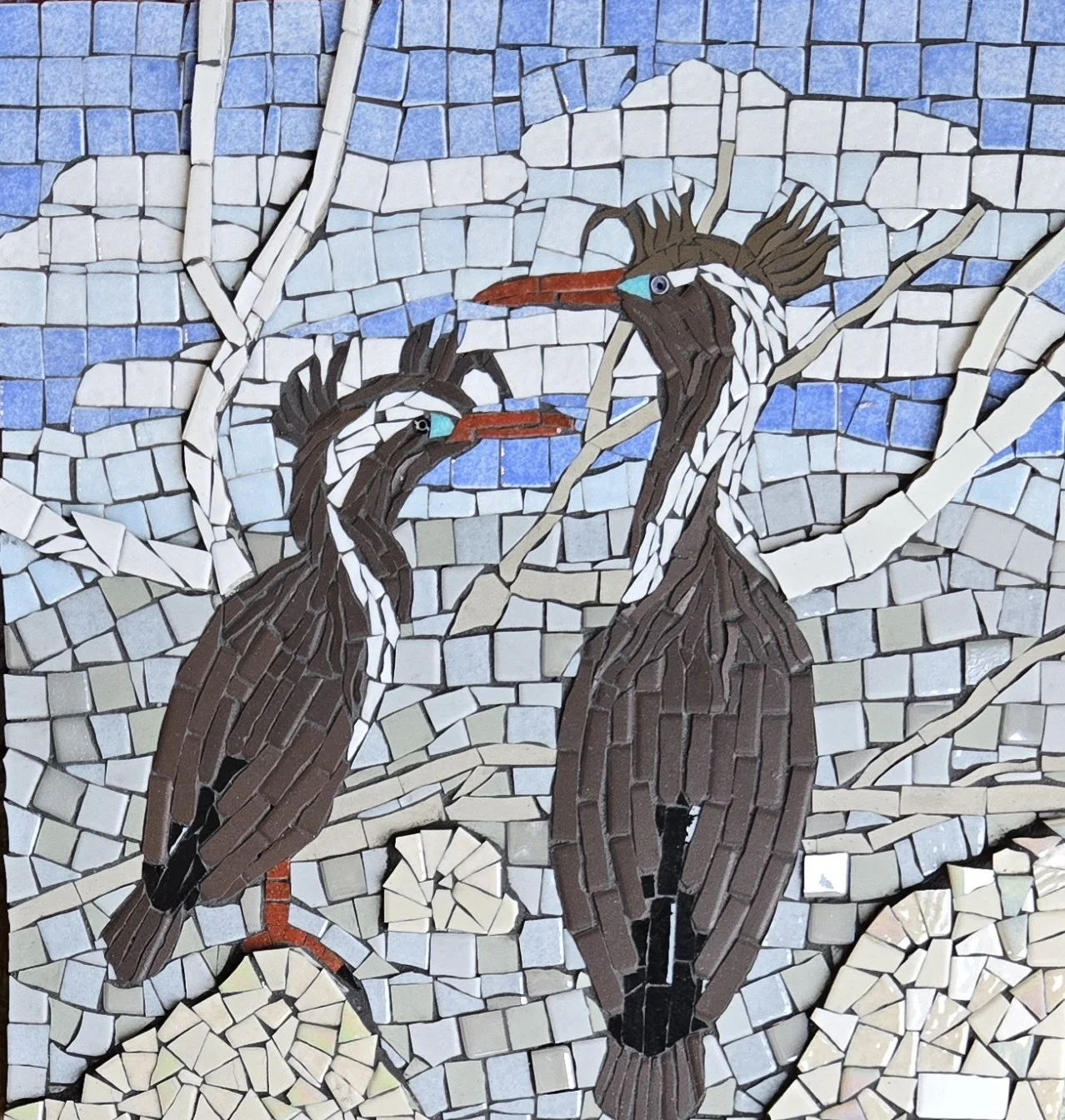 Two Spotted Shags