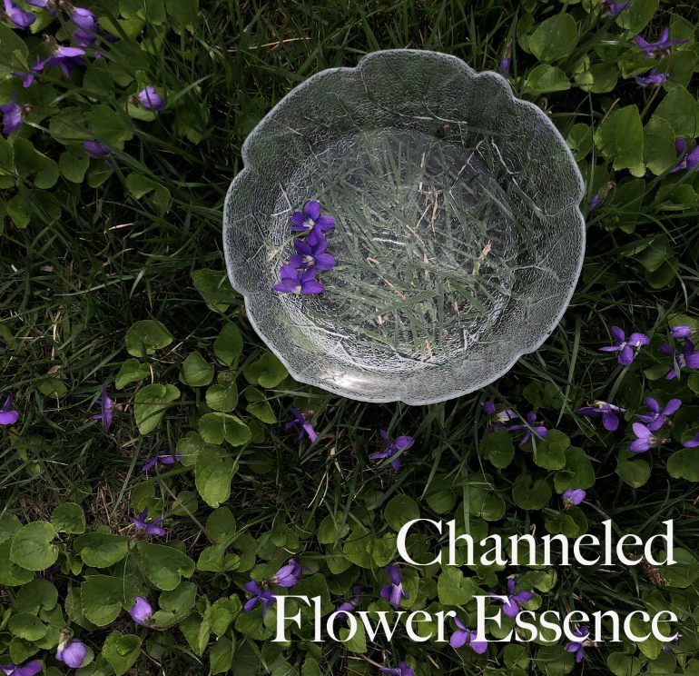 Screenshot 2026-03-12 at 12.20.32 PM.png