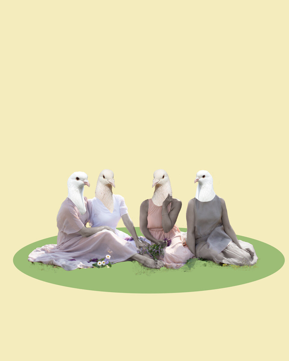 doves2.jpg