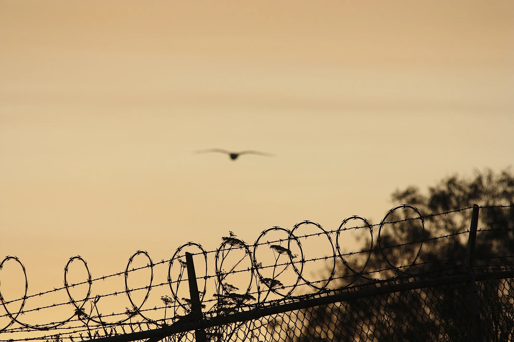 Behind enamy lines..jpg