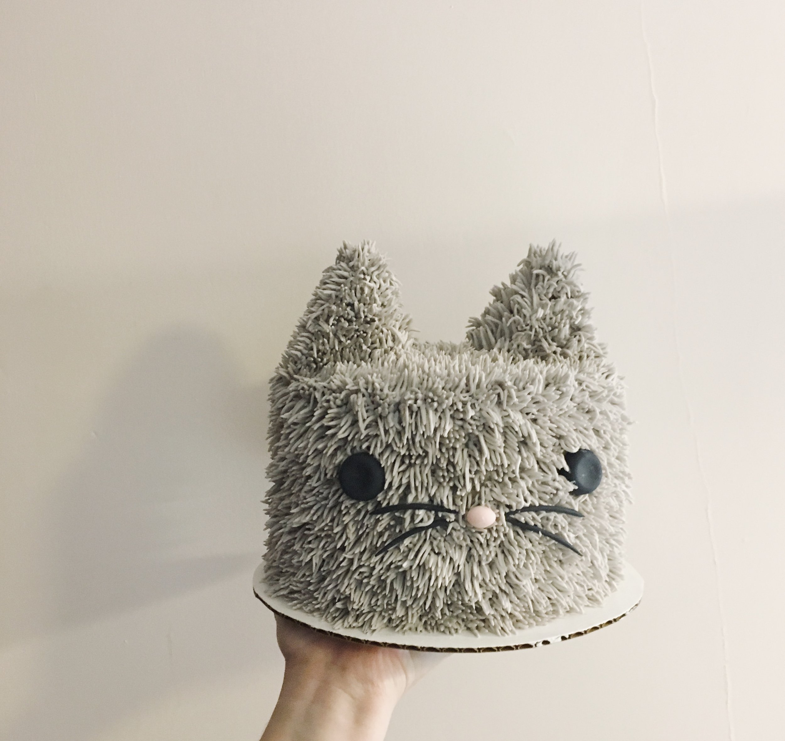 BFFA5D4A-40F1-495E-A3B9-53B0D8A963AD.jpeg