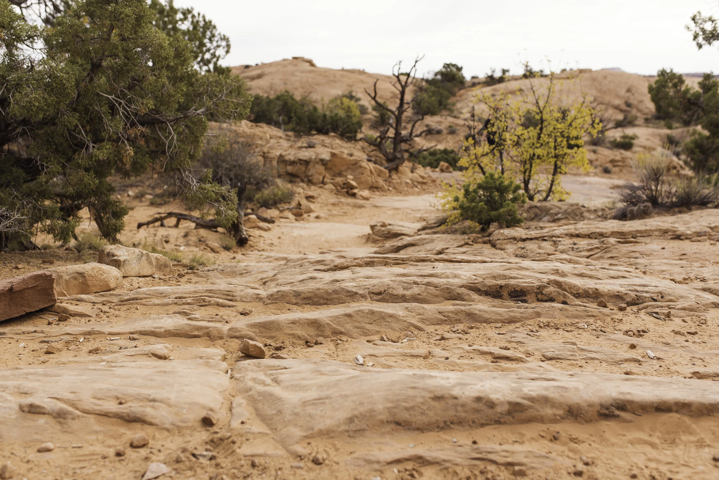Moab, UT-1033.jpg