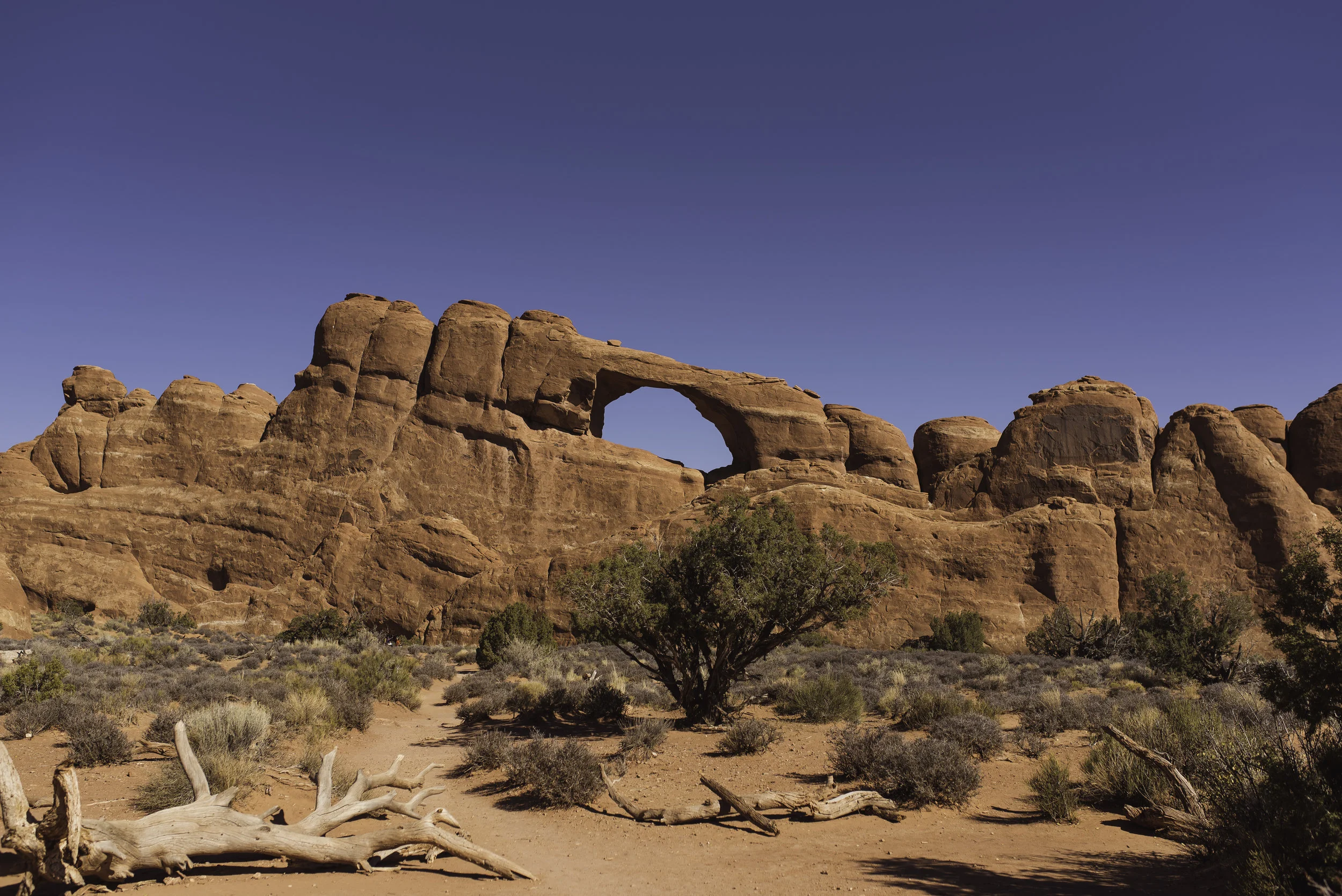 Moab, UT-1443.jpg