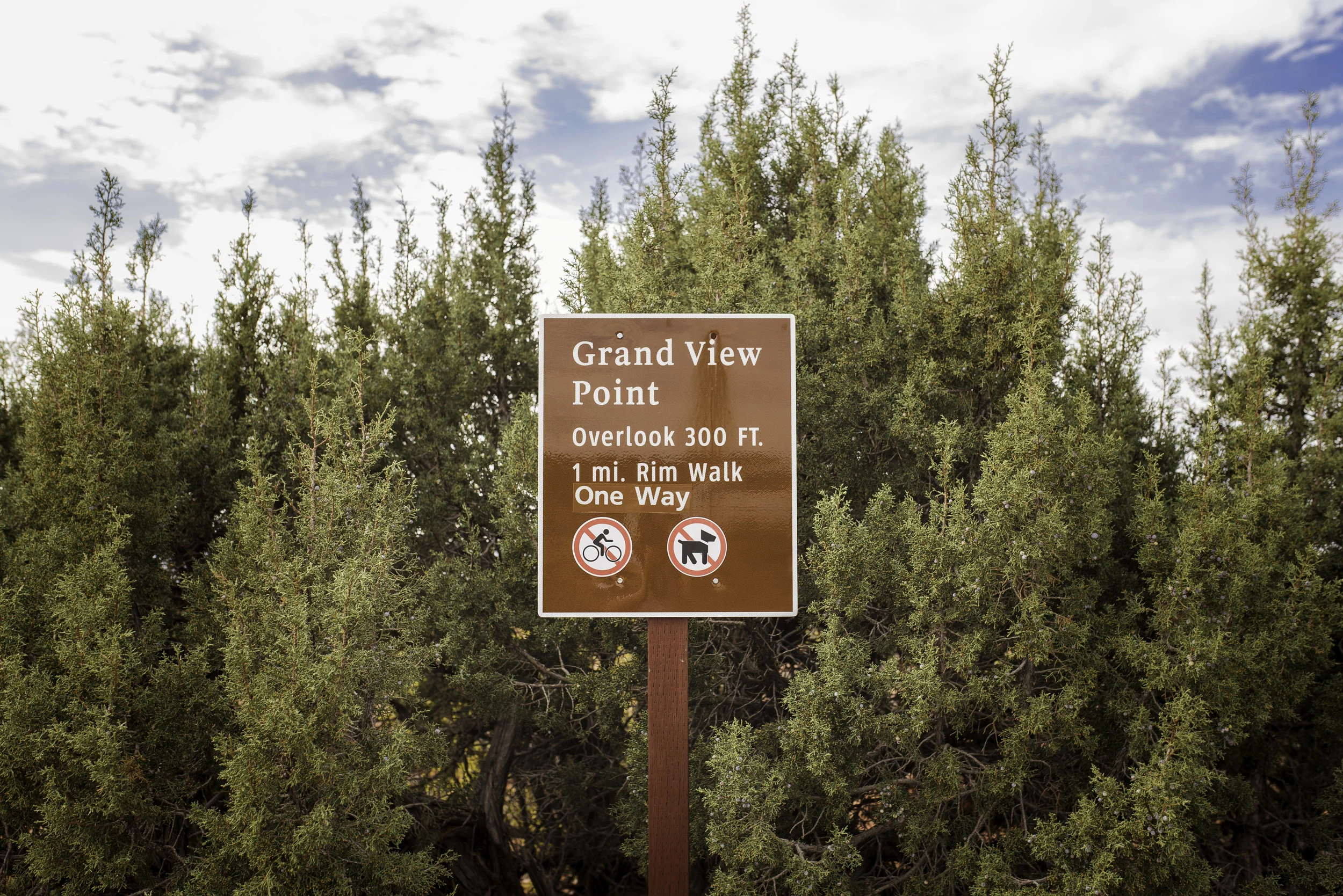 Moab, UT-949.jpg