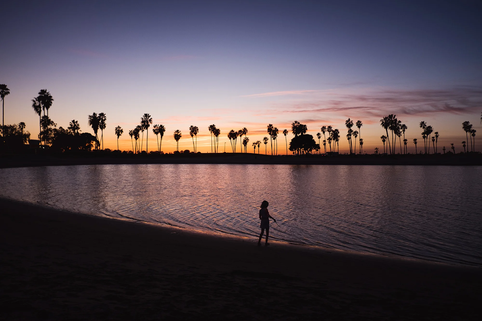 San Diego 2017-69 resize.jpg