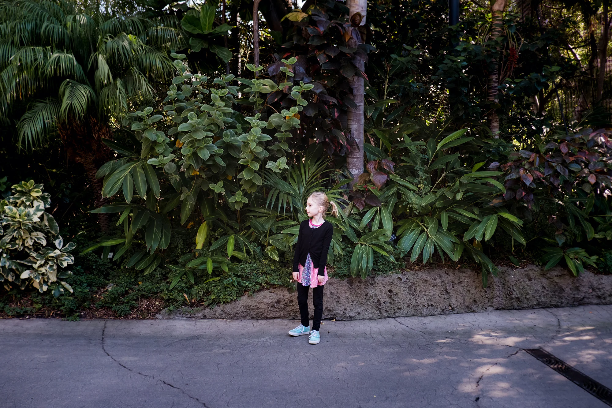 San Diego 2017-188 resize.jpg