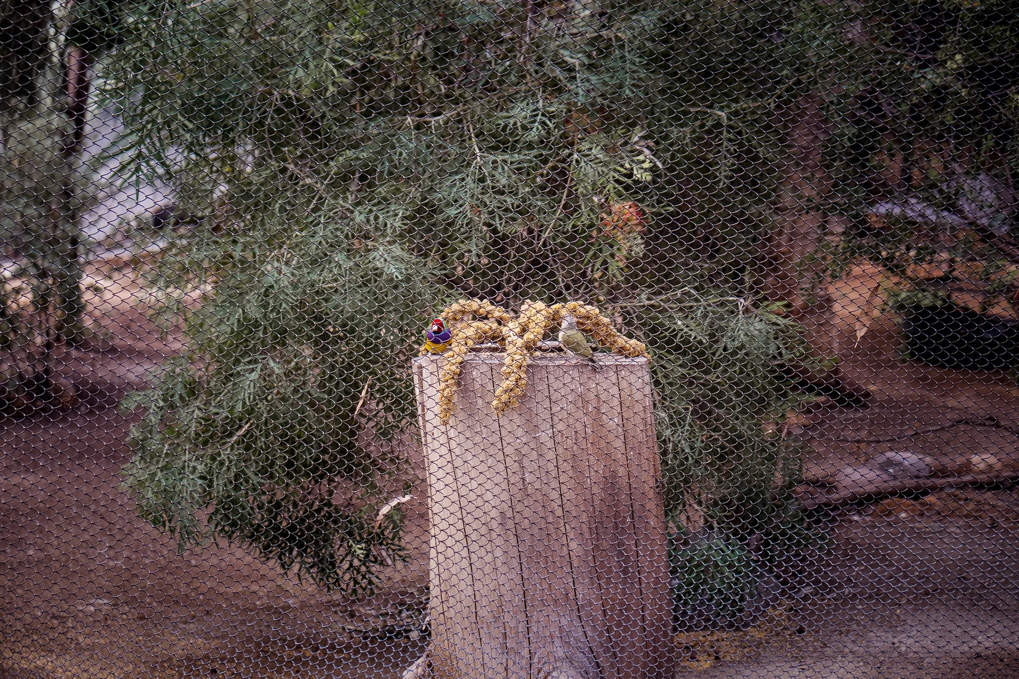 San Diego 2017-252 resize.jpg