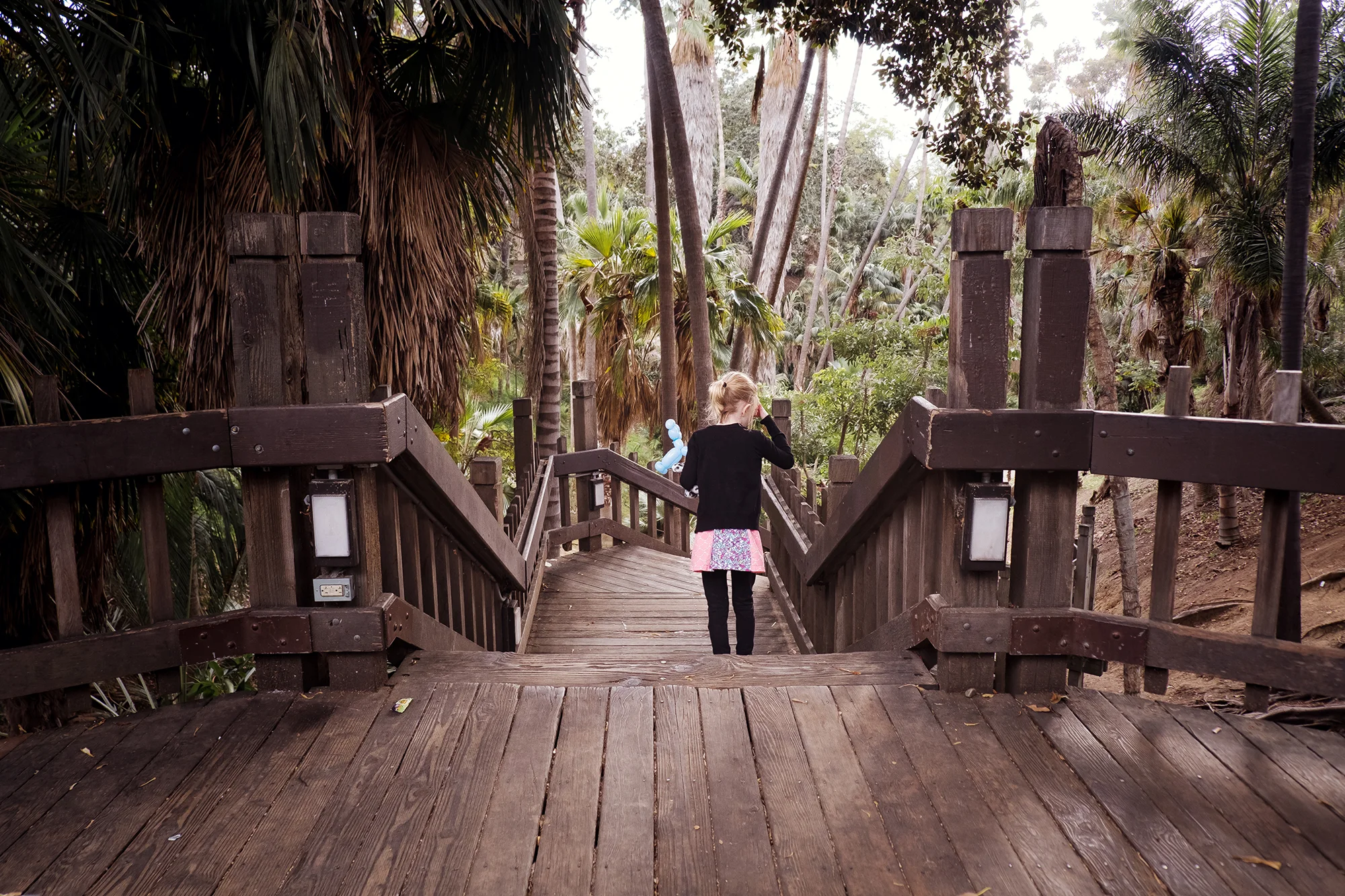 San Diego 2017-338 resize.jpg
