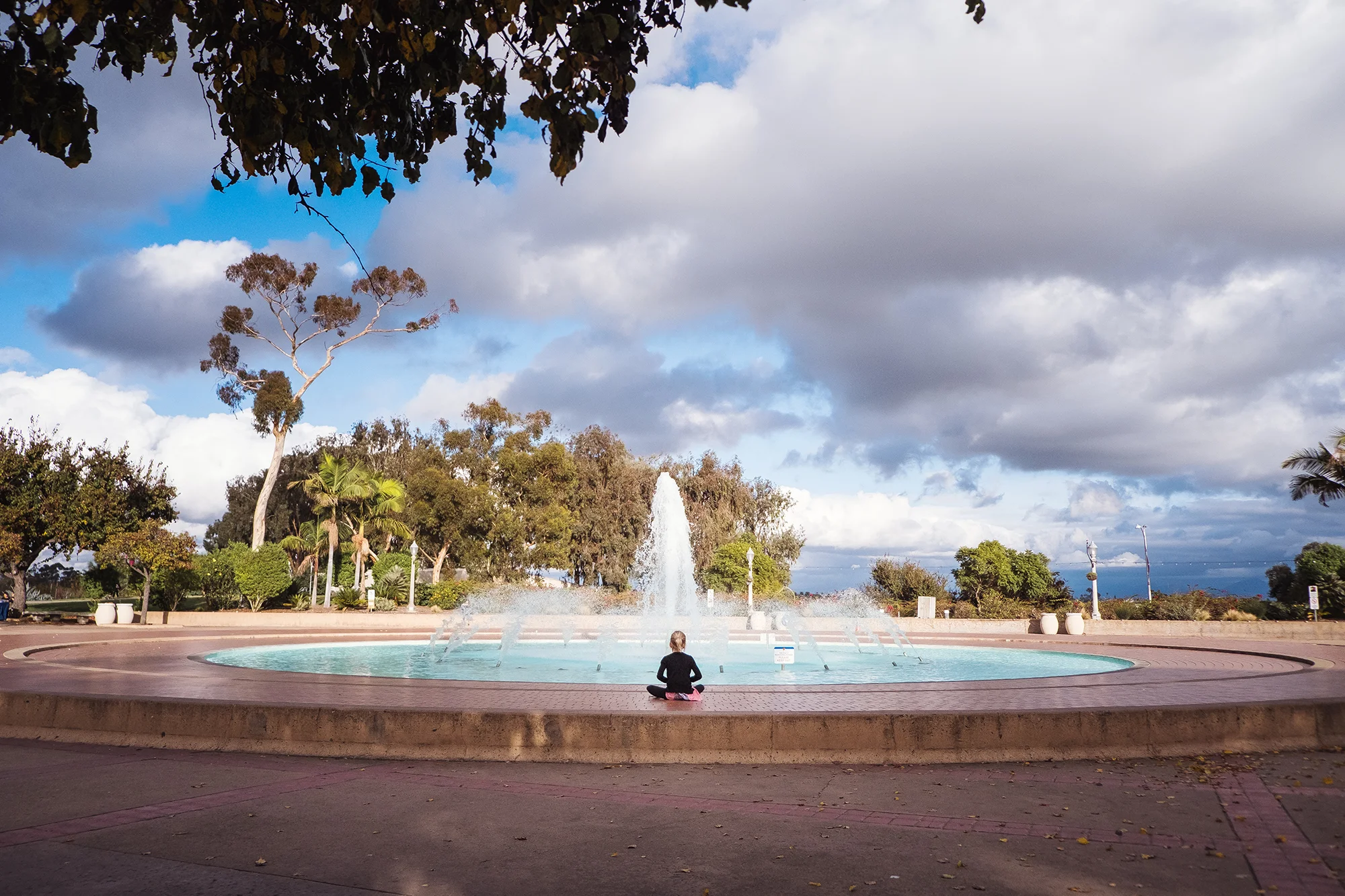 San Diego 2017-351 resize.jpg