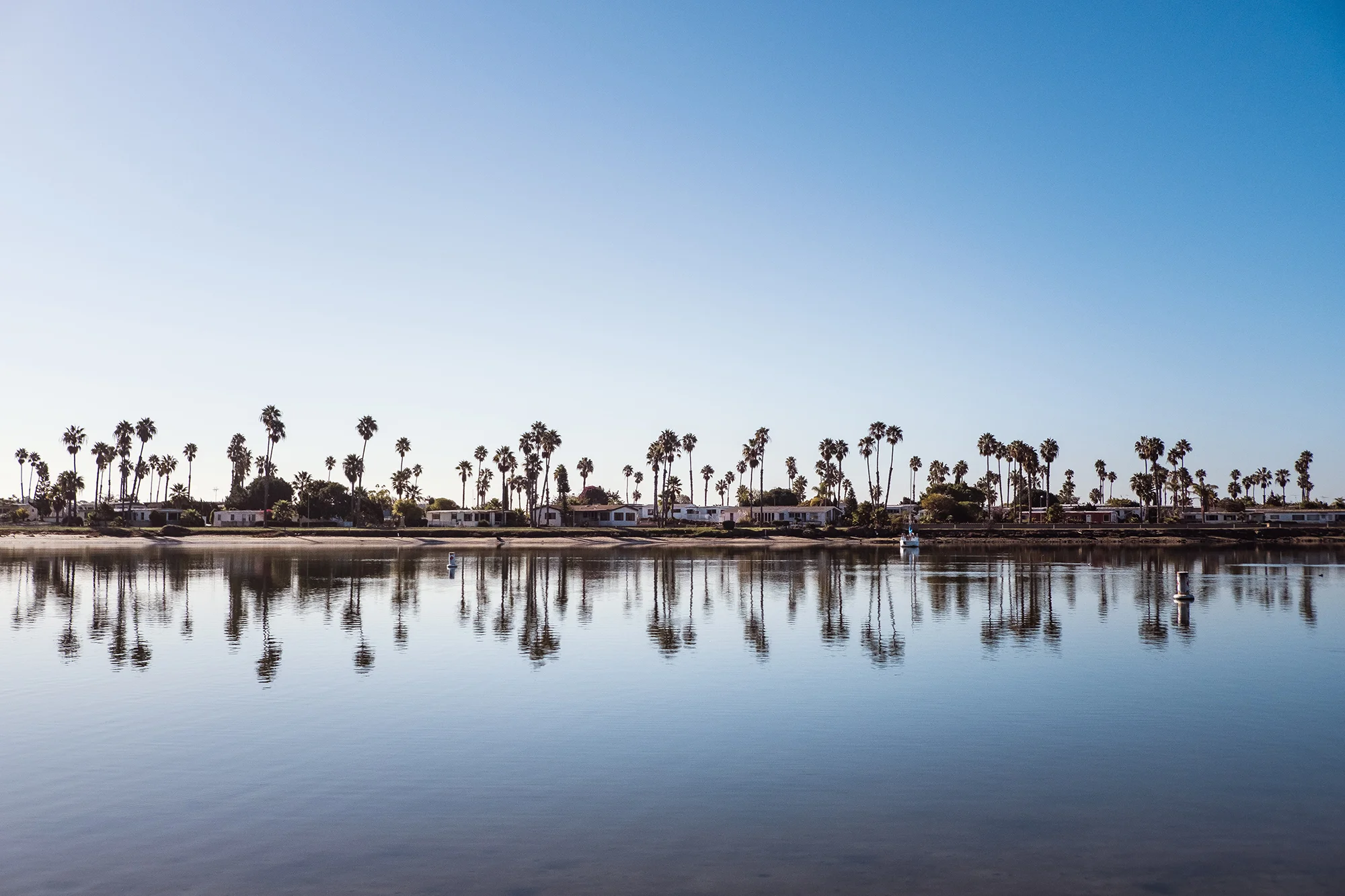 San Diego 2017-380 resize.jpg