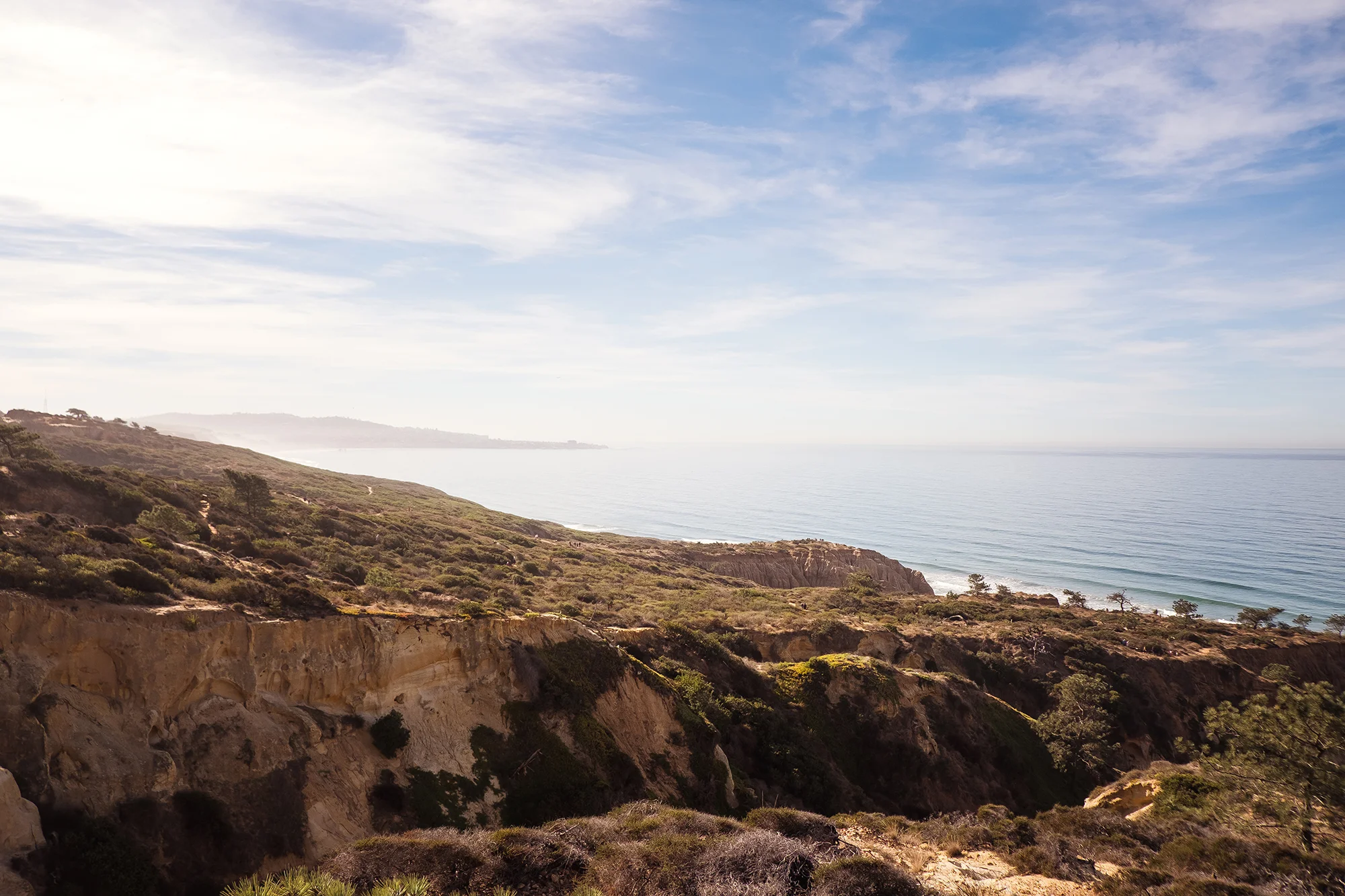 San Diego 2017-732 resize.jpg