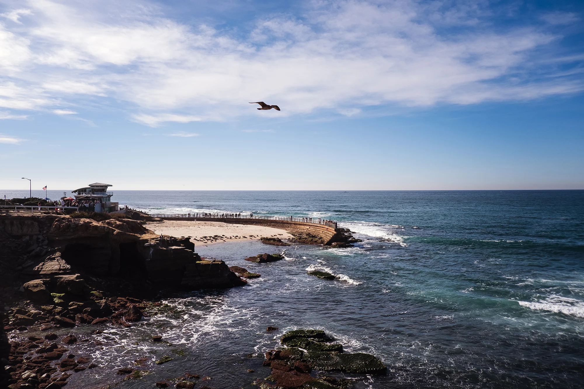 San Diego 2017-833 resize.jpg