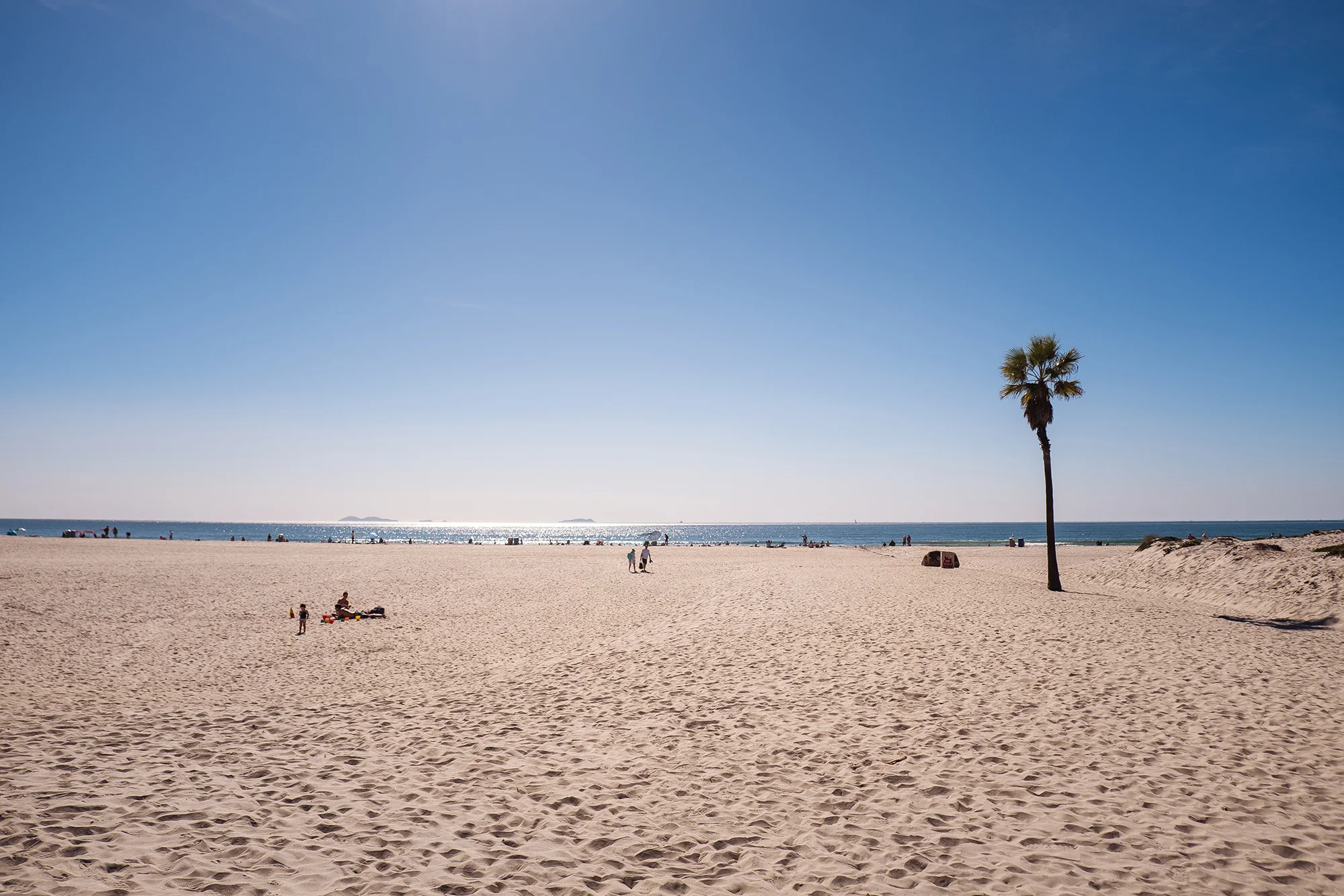 San Diego 2017-705 resize.jpg