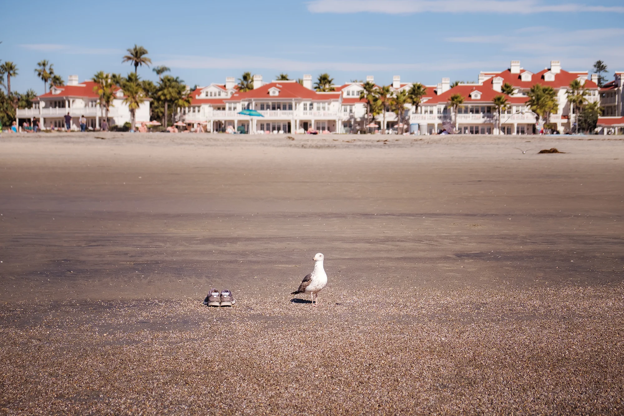 San Diego 2017-935 resize.jpg