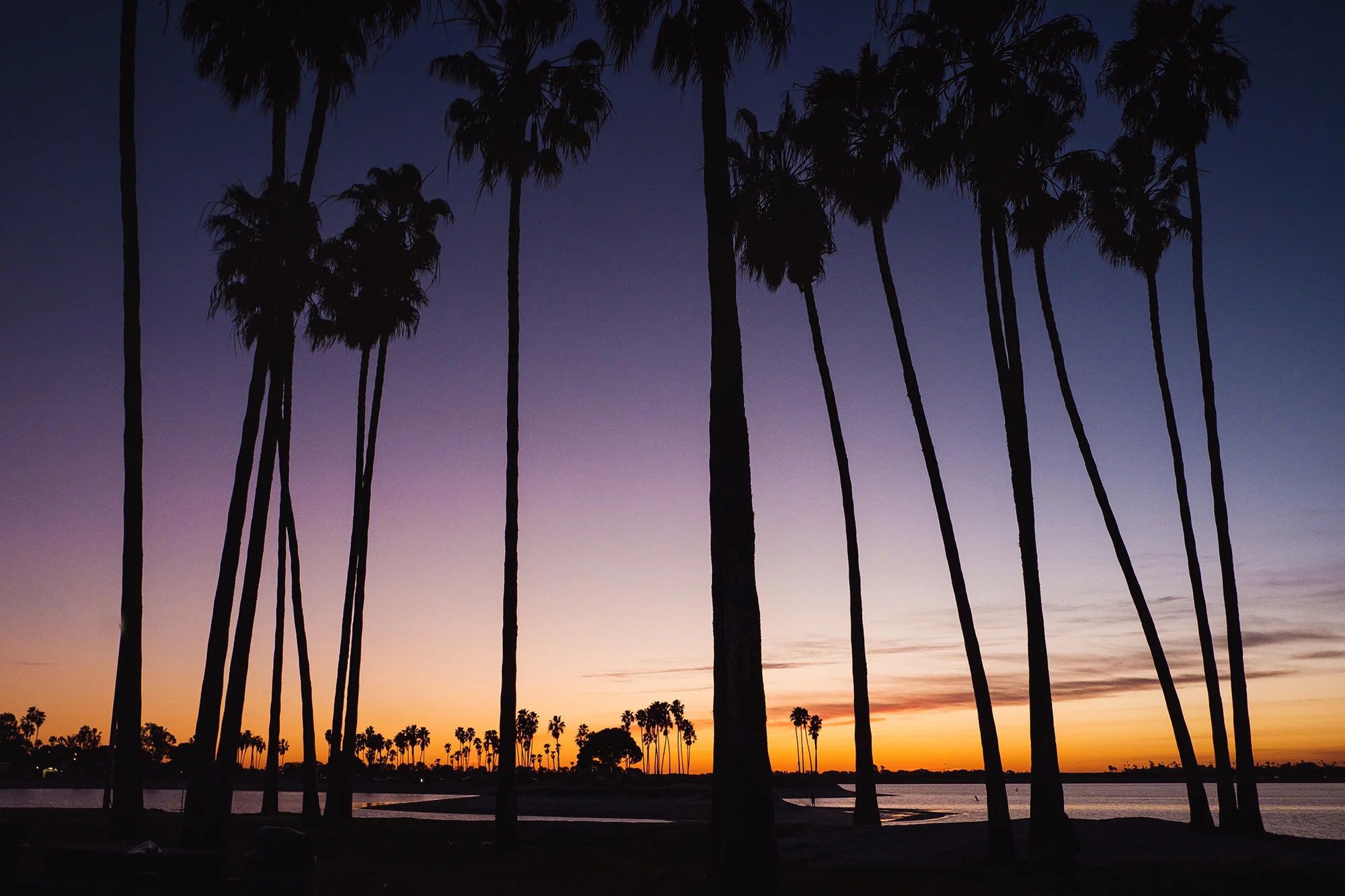 San Diego 2017-82 resize.jpg
