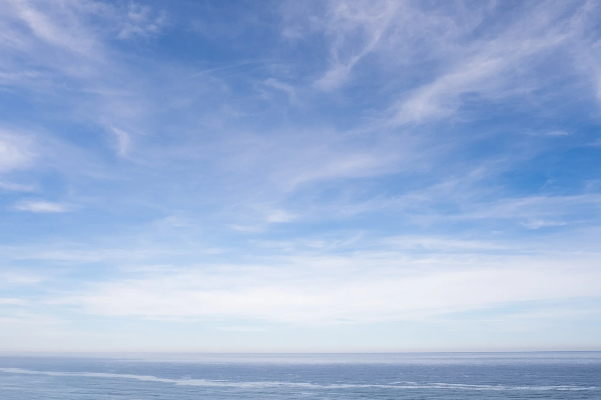 San Diego 2017-744 resize.jpg