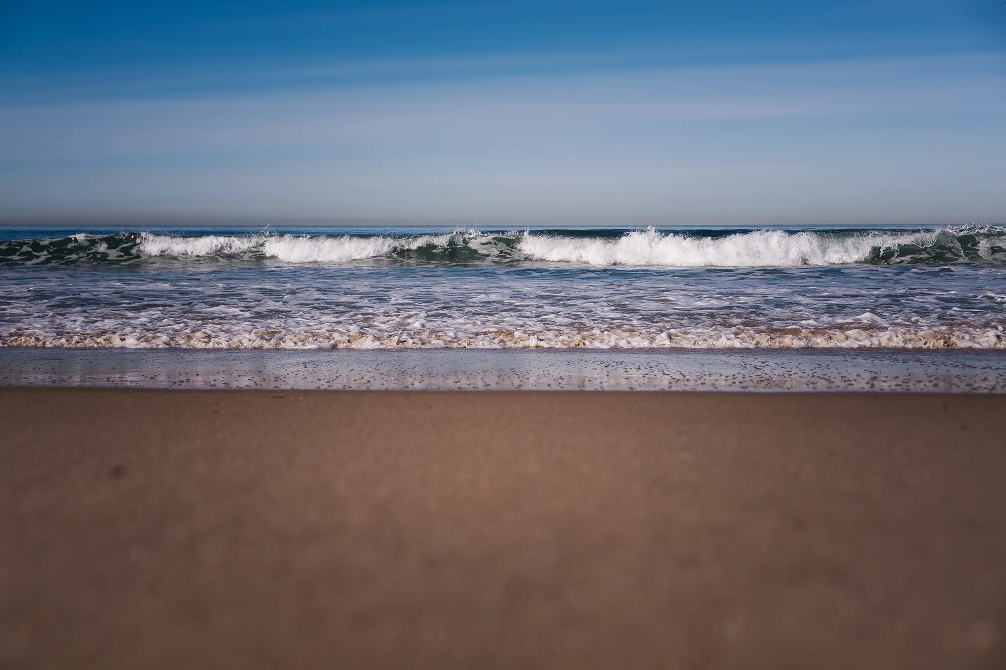 San Diego 2017-1042 resize.jpg
