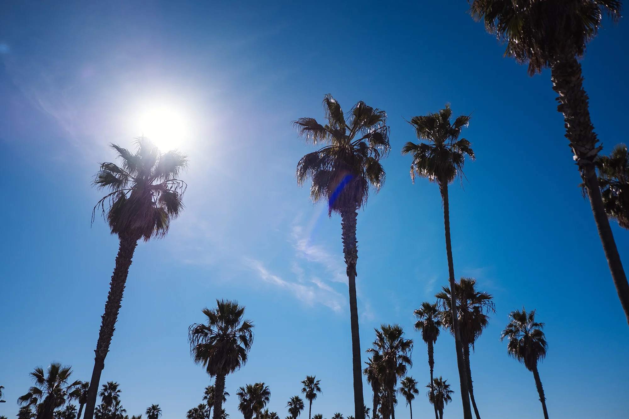 San Diego 2017-1073 resize.jpg