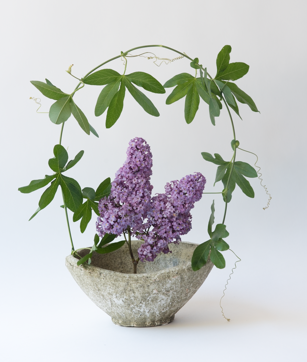   foraged vine, lilac   photo: Kilkea   