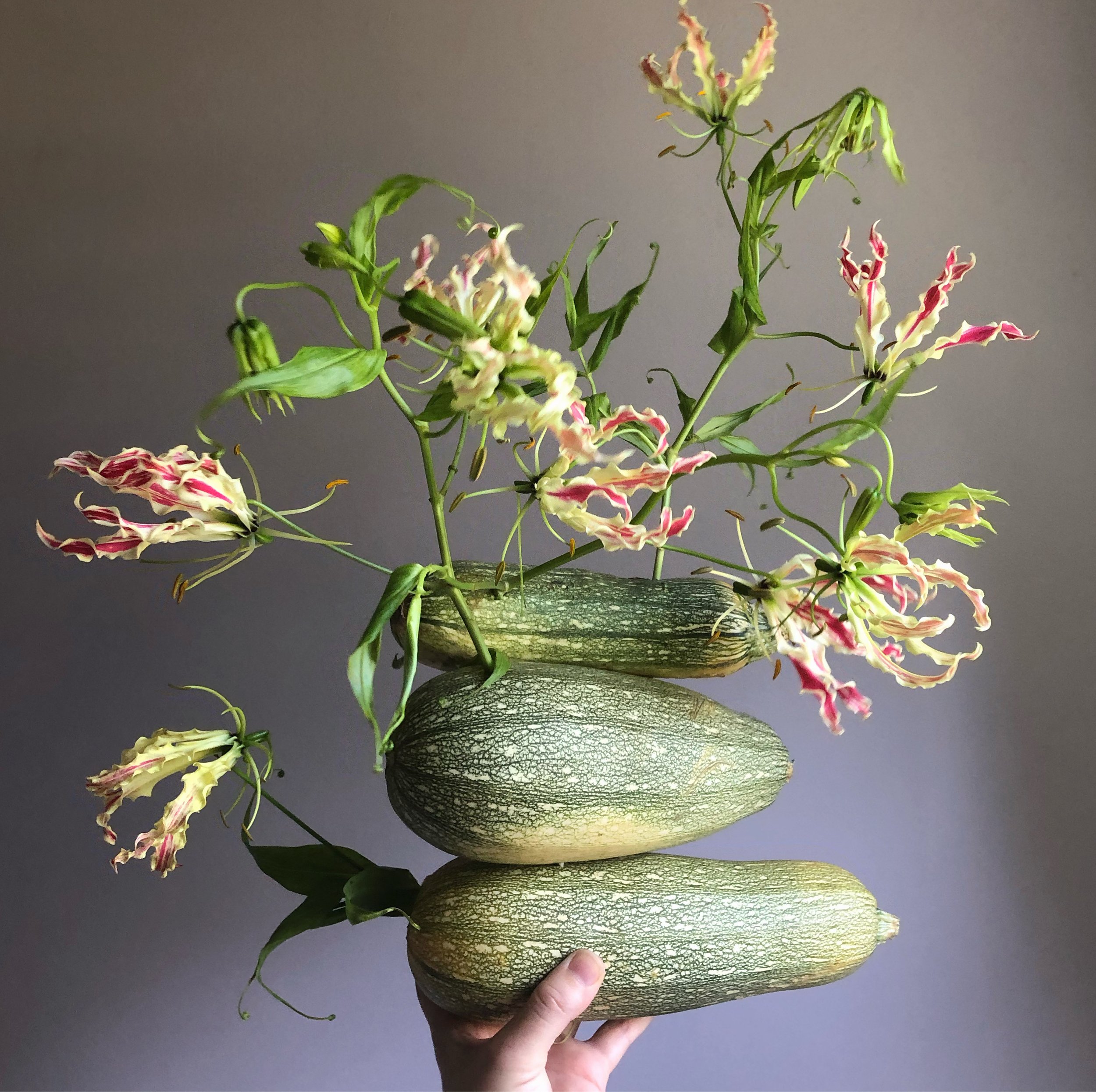 gloriosa lily + squash. Kilkea