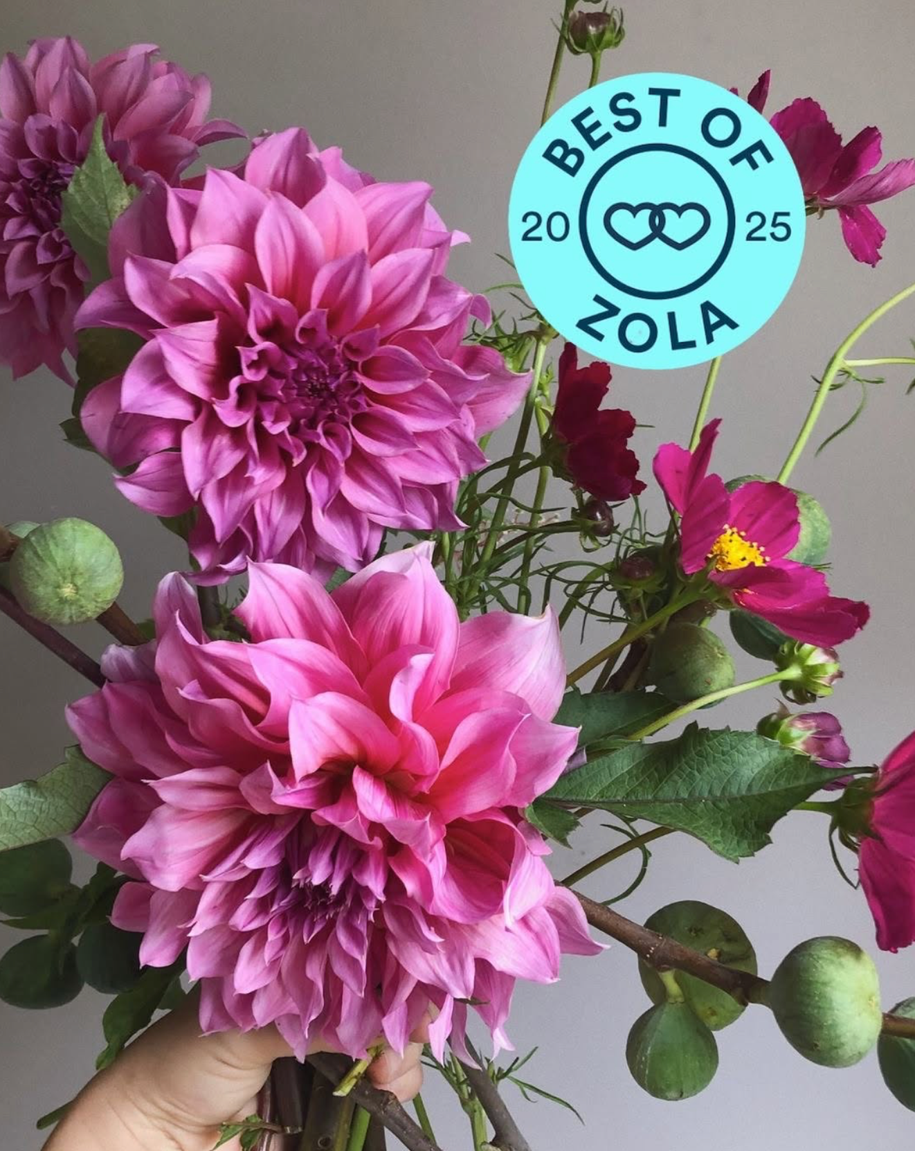 Best of Zola 2025
