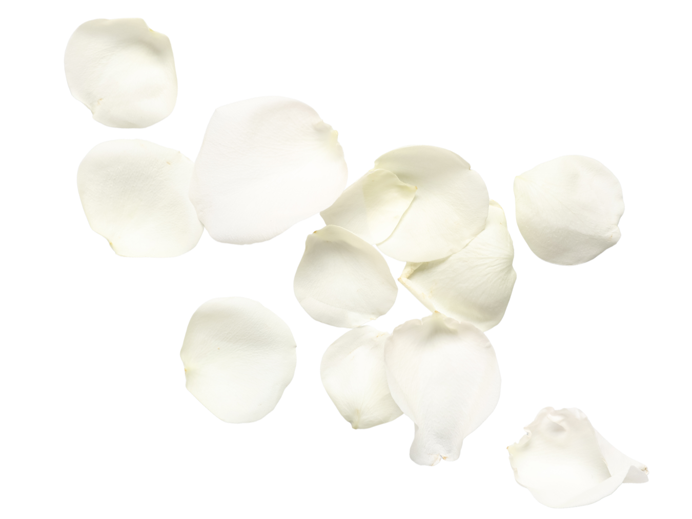 24.png