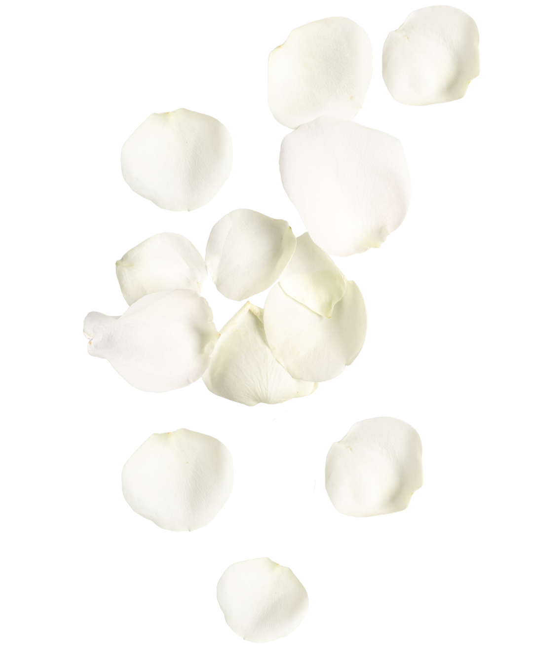 25.png