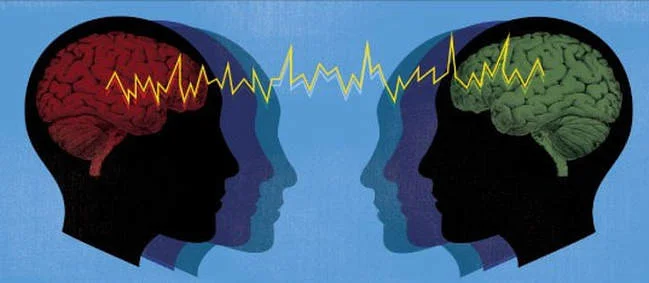 Limbic Resonance