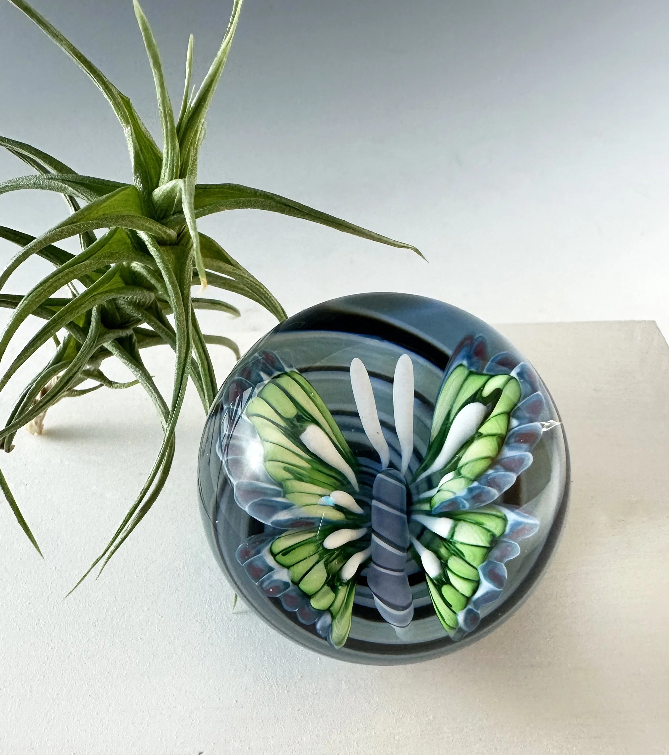 Sabina Boehm_blue and grn bttrfly marble_1.jpg