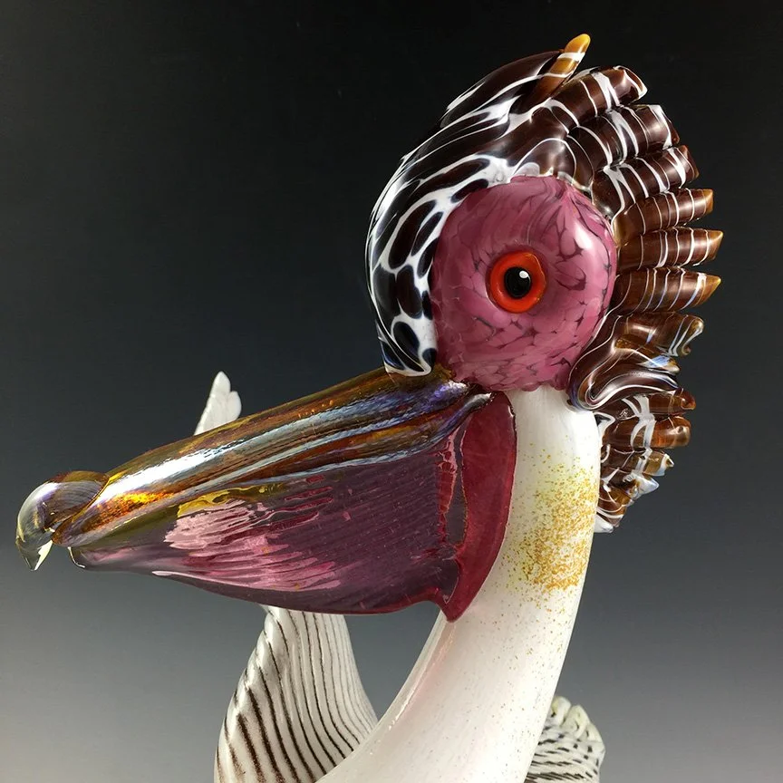 RWG white pelican_c.jpg