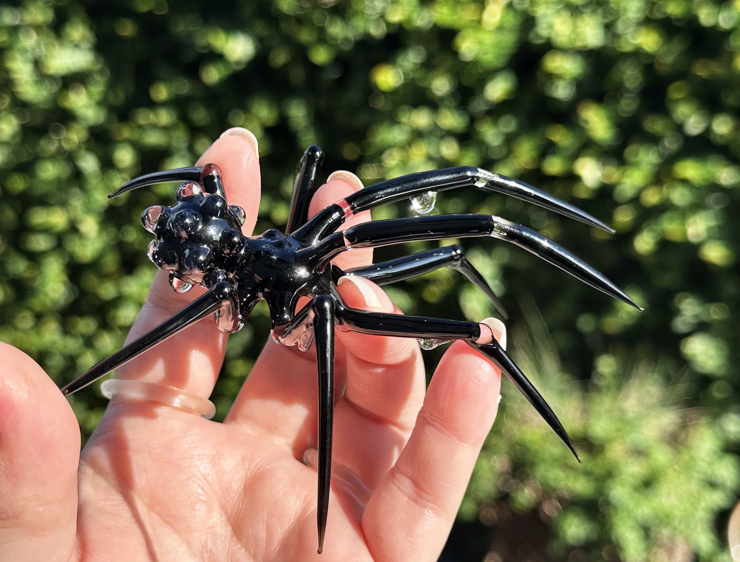 AdrienConnangle_Spider4.jpg