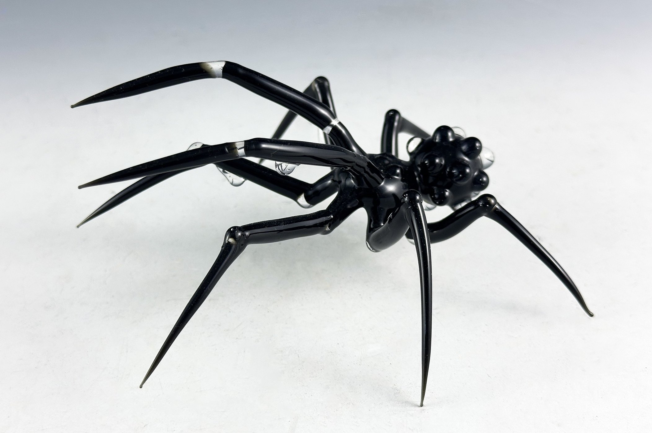 AdrienConnangle_Spider1.jpg