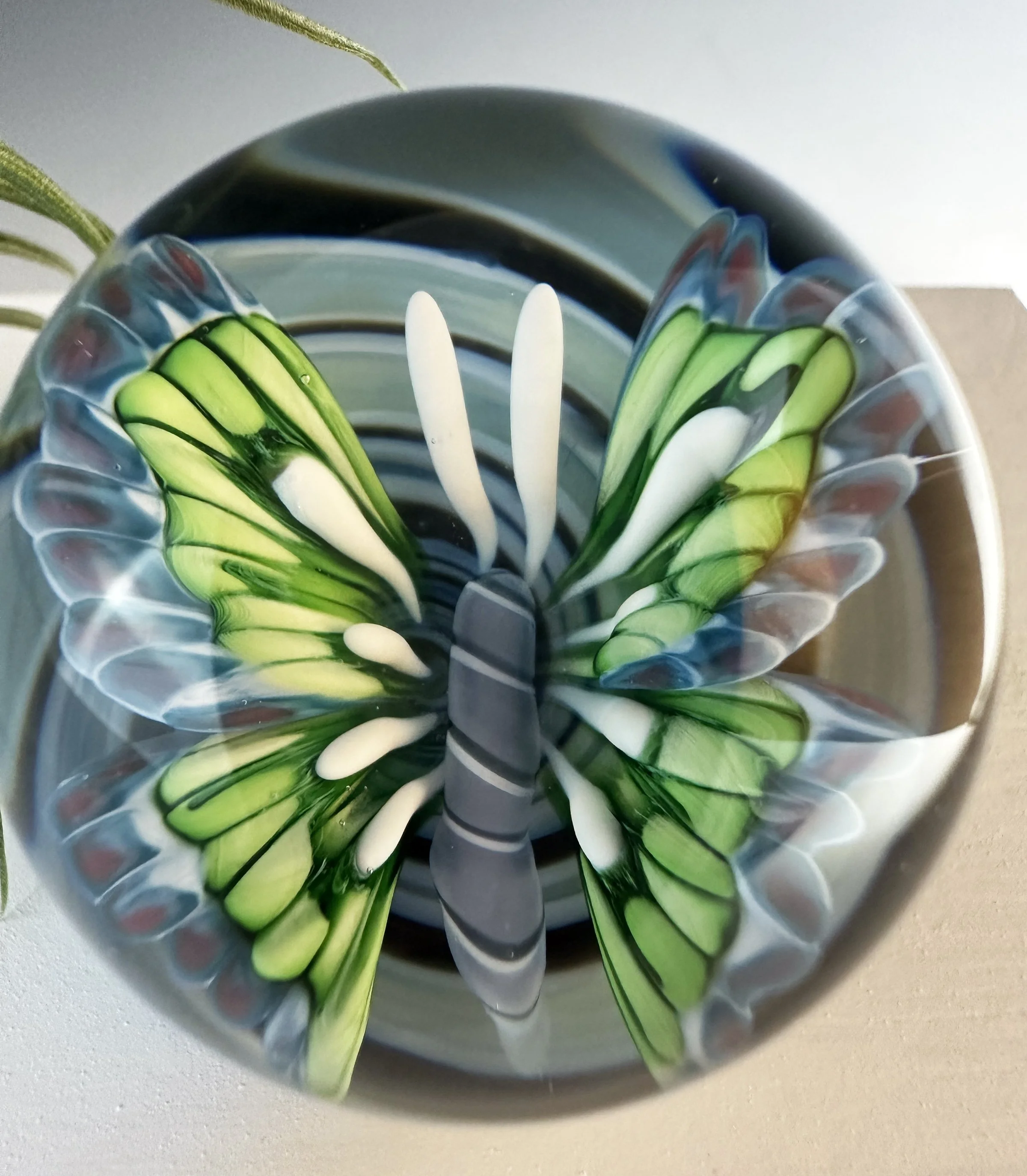 Sabina Boehm_blue and grn bttrfly marble_2.jpg