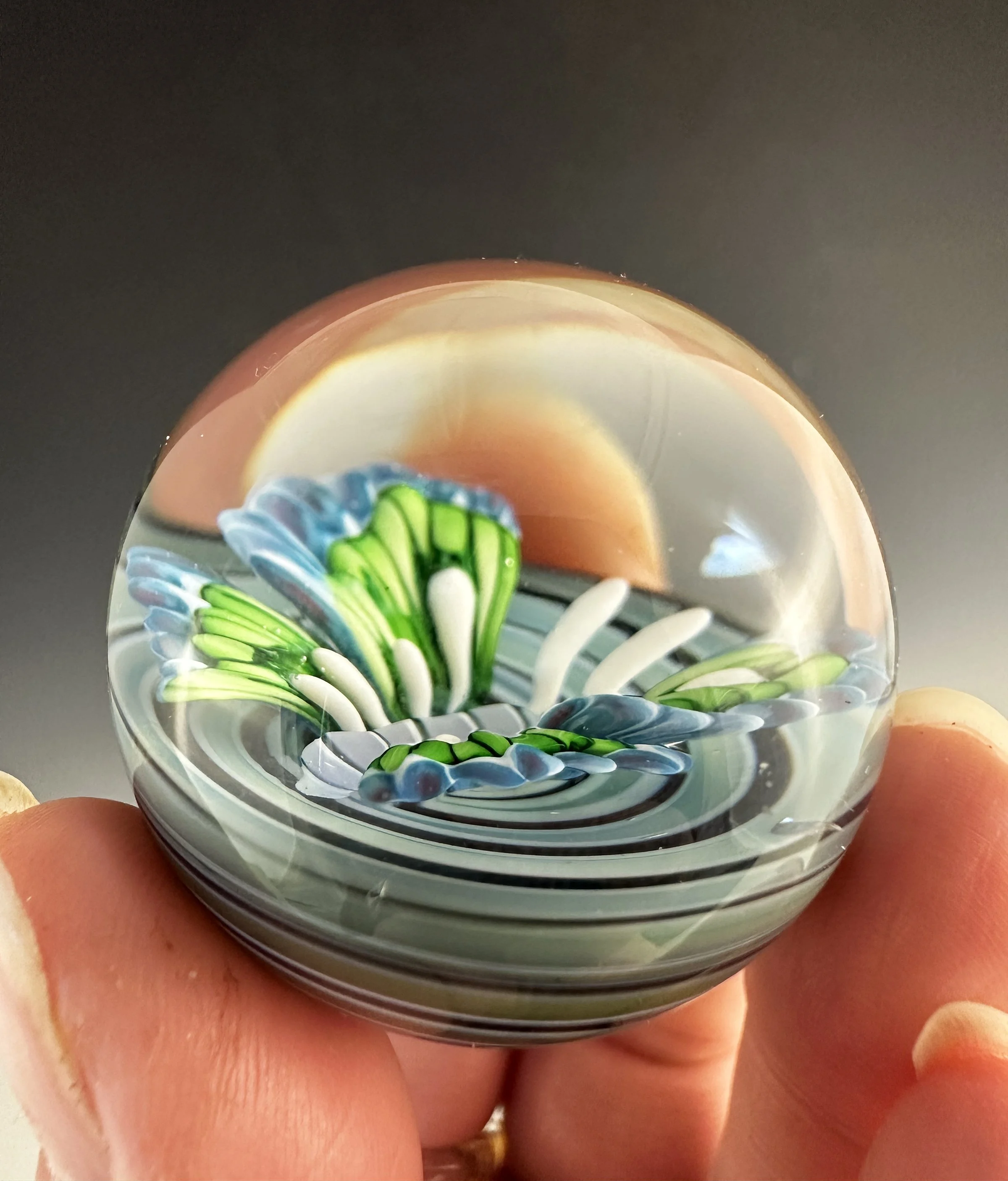 Sabina Boehm_blue and grn bttrfly marble_4.jpg