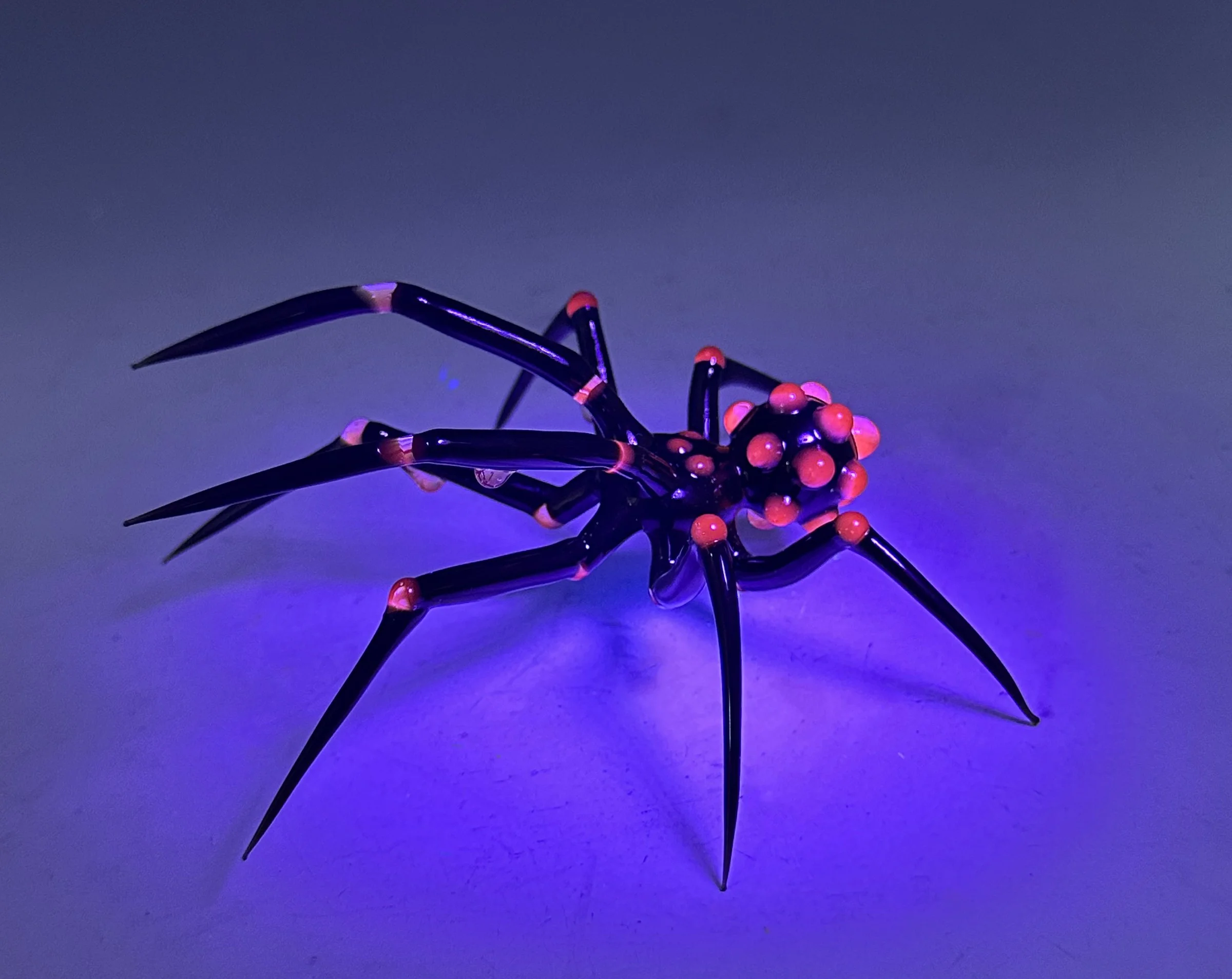 AdrienConnangle_Spider5.jpg
