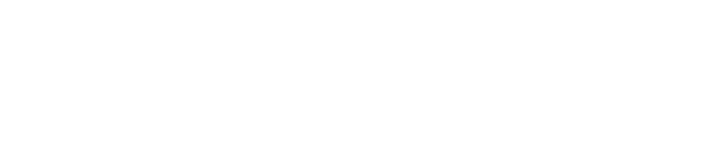 Logo white high res.png