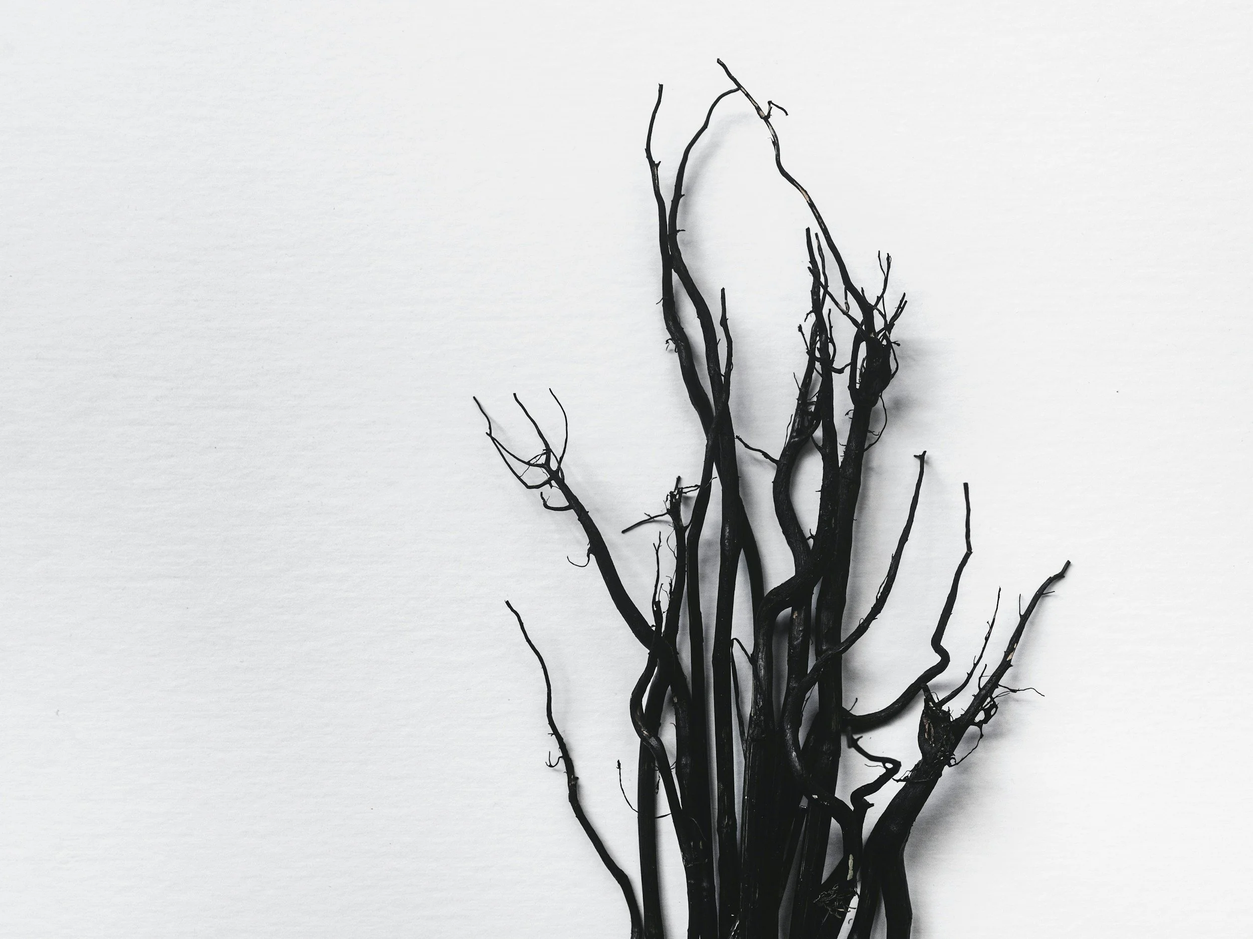 I tried the Idina Menzel belt…(?) | The Wicked Danger