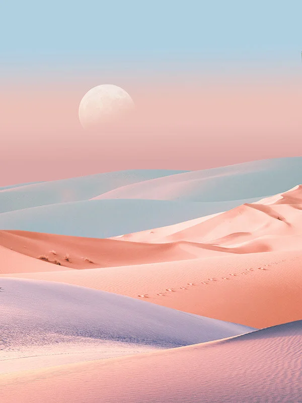 desert-abstract-landscape-karenlynch-leafandpetal