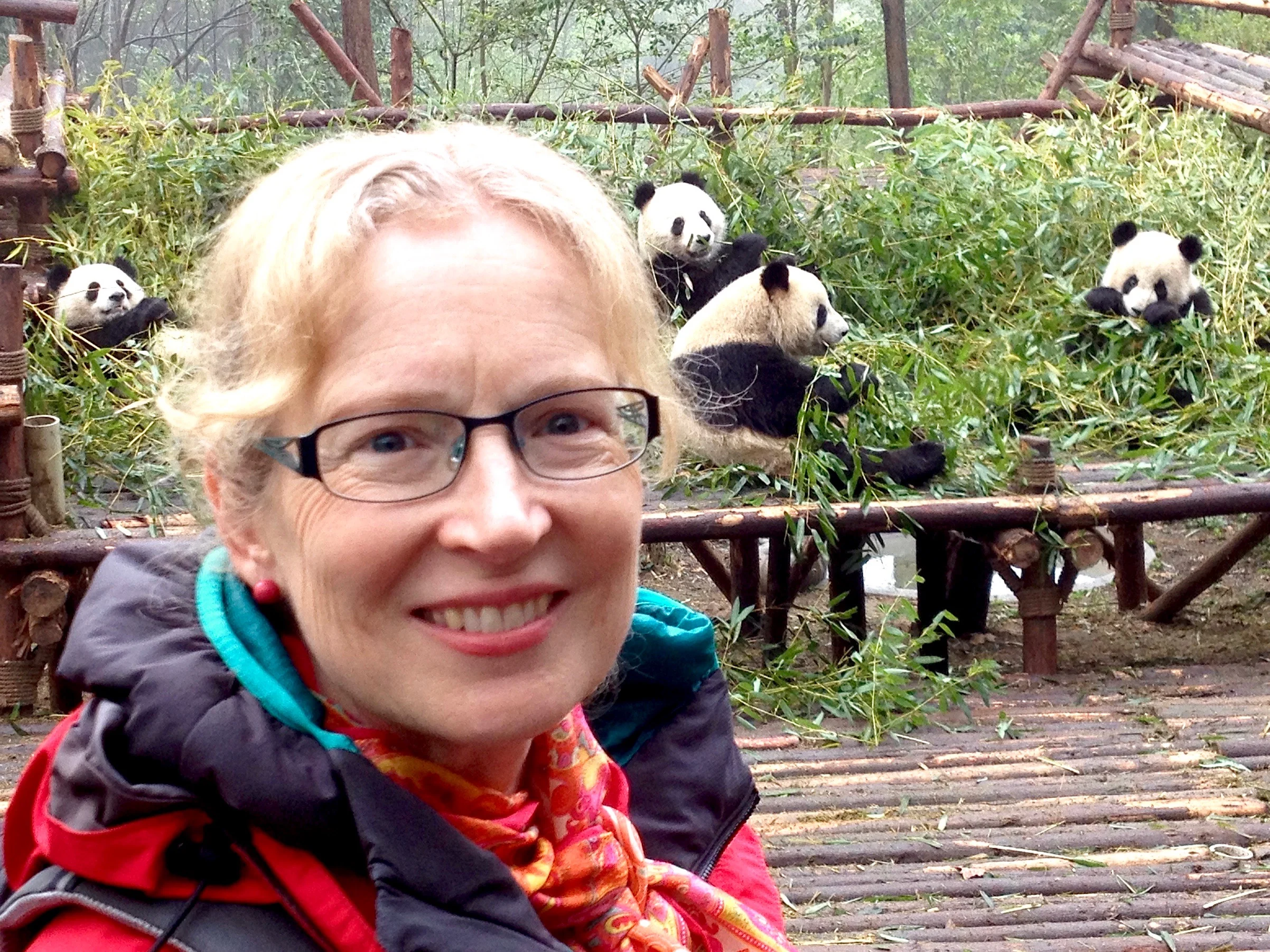 Breakfast time for the Giant Pandas!