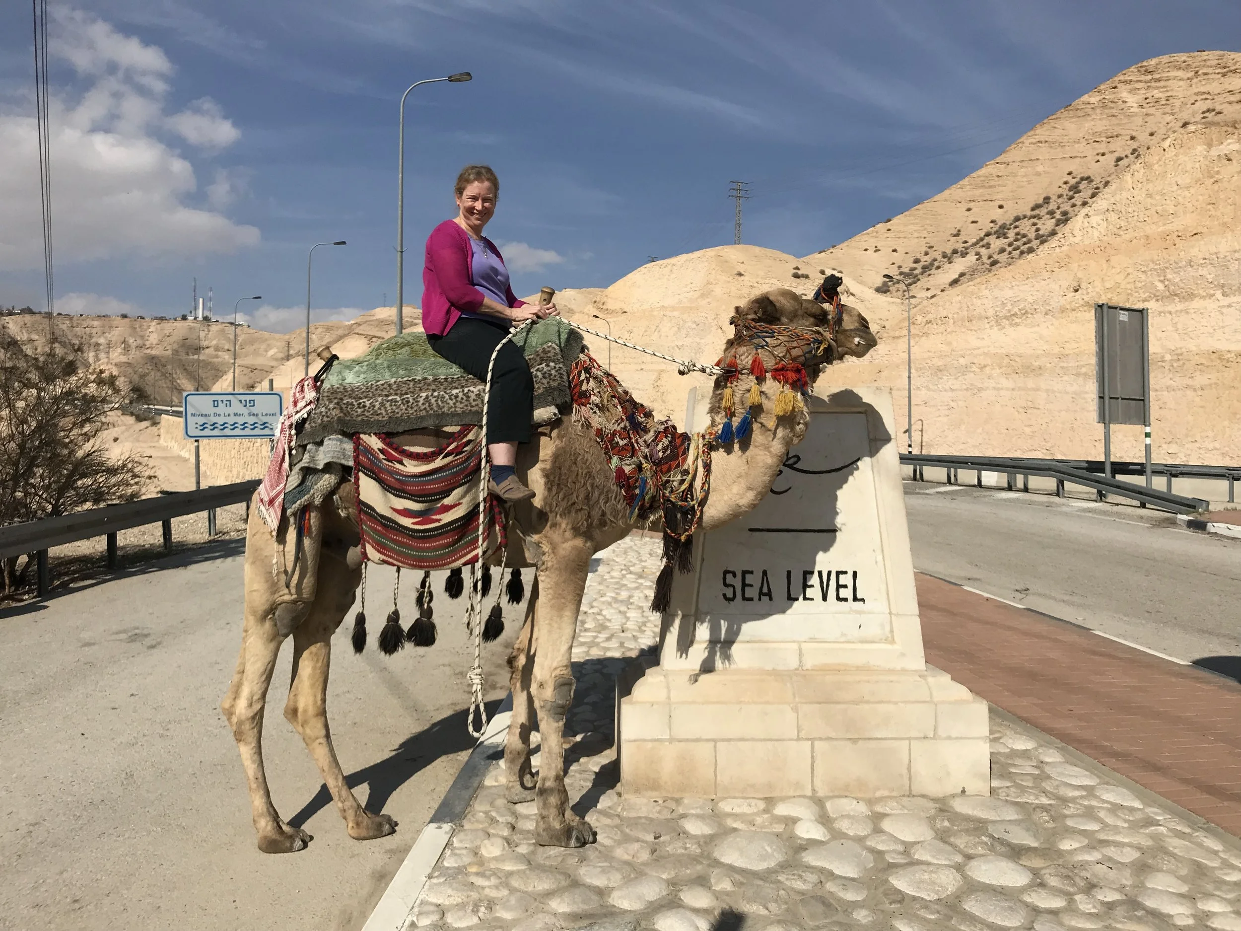 Traveling desert style.