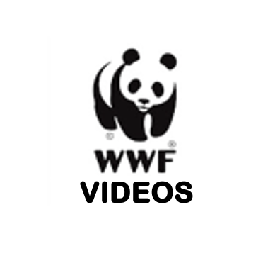World Wildlife Fund (WWF) - VIDEOS : Endangered Animals, Climate Change, & Biodiversity
