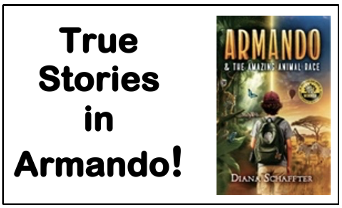 The Backstory: Real Events in Armando & the Amazing Animal Race