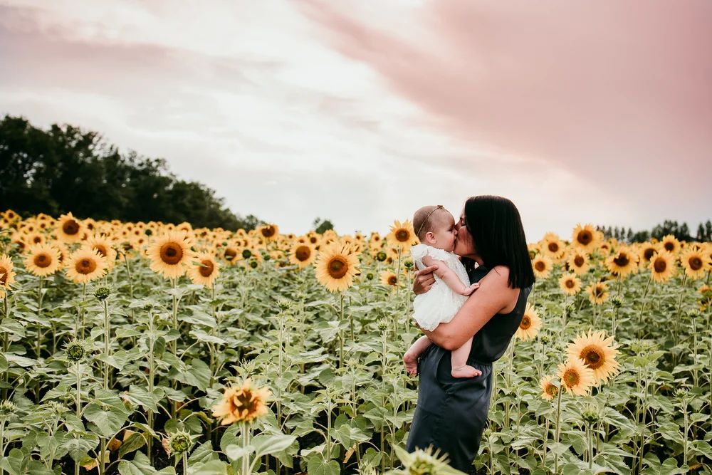 Sunflower Field Photo Shoot Fargo Family Photographer Shannon Heick